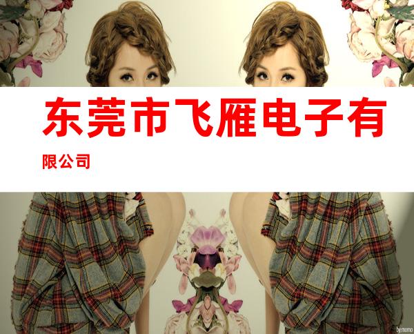 东莞市飞雁电子有限公司